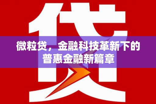 上林微粒贷，金融科技革新下的普惠金融新篇章