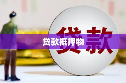 上林贷款抵押物