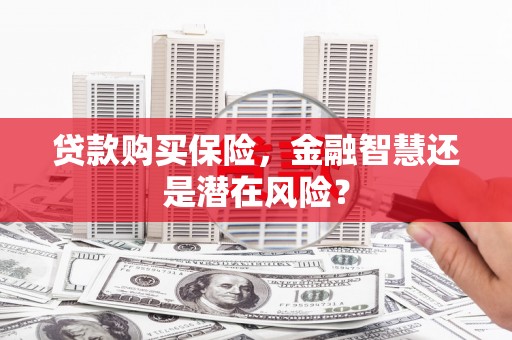 上林贷款购买保险，金融智慧还是潜在风险？