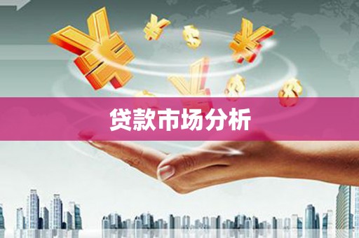 上林贷款市场分析