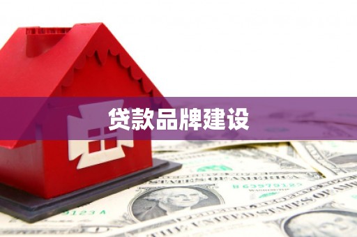 上林贷款品牌建设