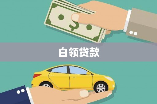 上林白领贷款