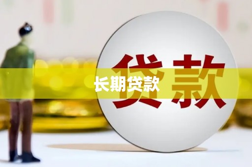 上林长期贷款