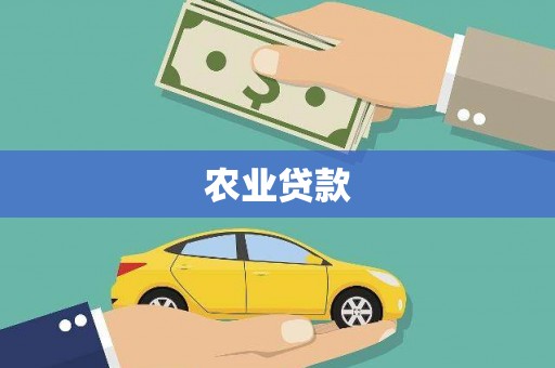 上林农业贷款