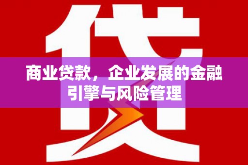 上林商业贷款，企业发展的金融引擎与风险管理