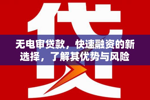 上林无电审贷款，快速融资的新选择，了解其优势与风险