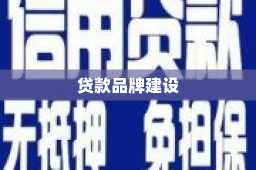 上林贷款品牌建设