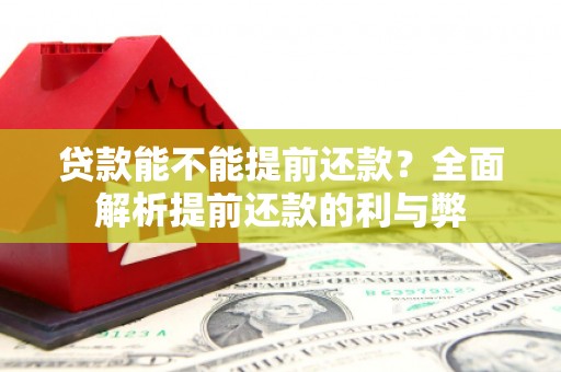 上林贷款能不能提前还款？全面解析提前还款的利与弊