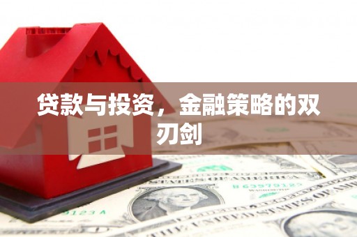 上林贷款与投资，金融策略的双刃剑