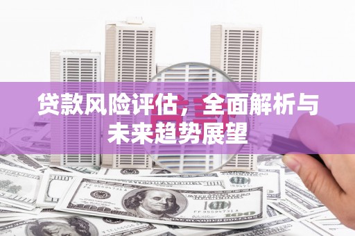 上林贷款风险评估，全面解析与未来趋势展望