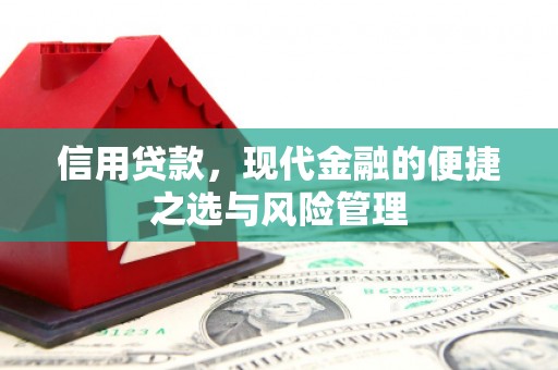 上林信用贷款，现代金融的便捷之选与风险管理