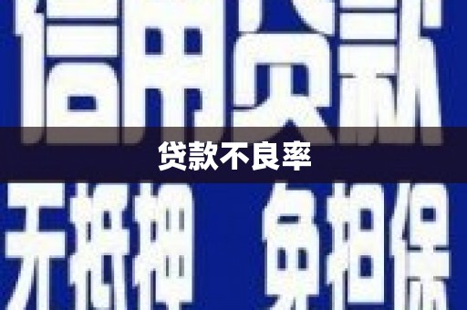 上林贷款不良率