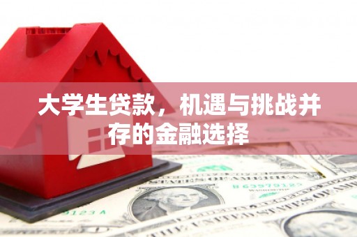 上林大学生贷款，机遇与挑战并存的金融选择