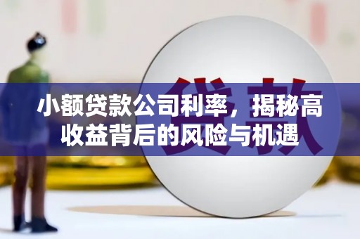 上林小额贷款公司利率，揭秘高收益背后的风险与机遇
