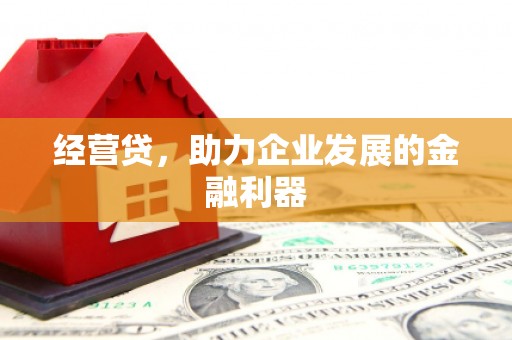 上林经营贷，助力企业发展的金融利器