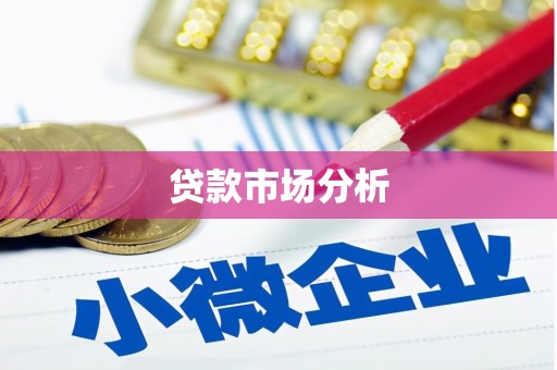 上林贷款市场分析