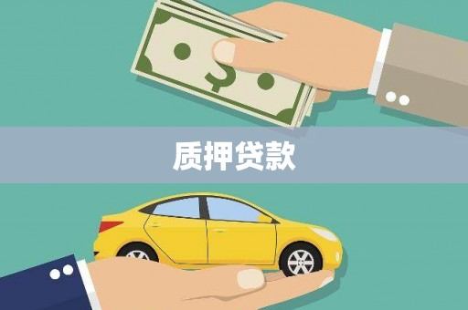 上林质押贷款