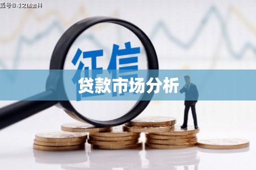 上林贷款市场分析