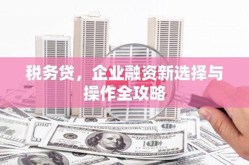 上林税务贷，企业融资新选择与操作全攻略