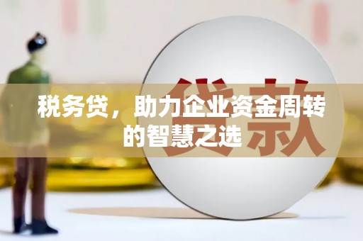 上林税务贷，助力企业资金周转的智慧之选