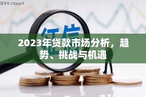上林2023年贷款市场分析，趋势、挑战与机遇