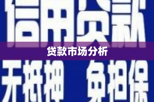 上林贷款市场分析