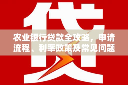上林农业银行贷款全攻略，申请流程、利率政策及常见问题解析