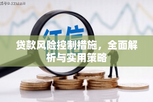上林贷款风险控制措施，全面解析与实用策略