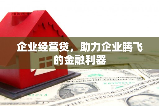 上林企业经营贷，助力企业腾飞的金融利器