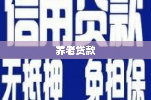 上林养老贷款