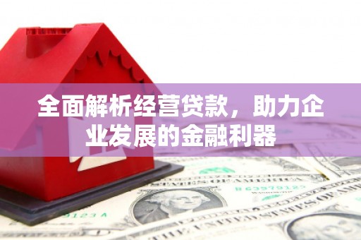 上林全面解析经营贷款，助力企业发展的金融利器