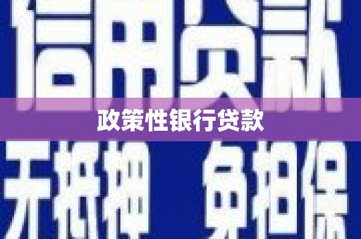 上林政策性银行贷款