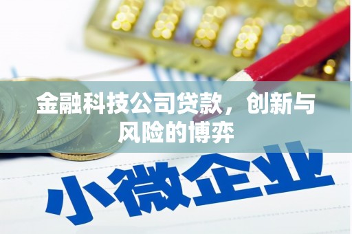 上林金融科技公司贷款，创新与风险的博弈