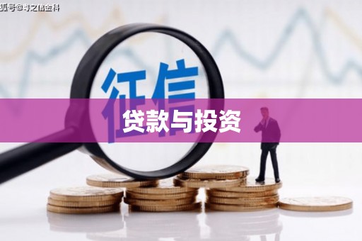 上林贷款与投资