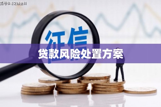 上林贷款风险处置方案