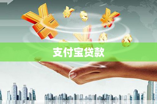 上林支付宝贷款