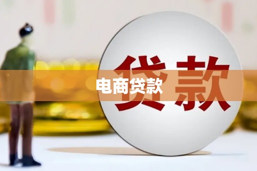 上林电商贷款