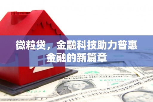 上林微粒贷，金融科技助力普惠金融的新篇章