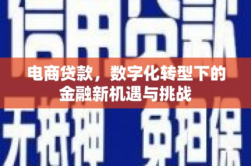 上林电商贷款，数字化转型下的金融新机遇与挑战