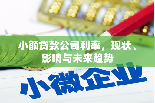 上林小额贷款公司利率，现状、影响与未来趋势