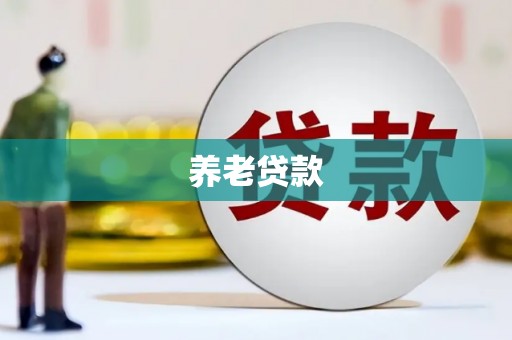 上林养老贷款