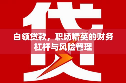 上林白领贷款，职场精英的财务杠杆与风险管理