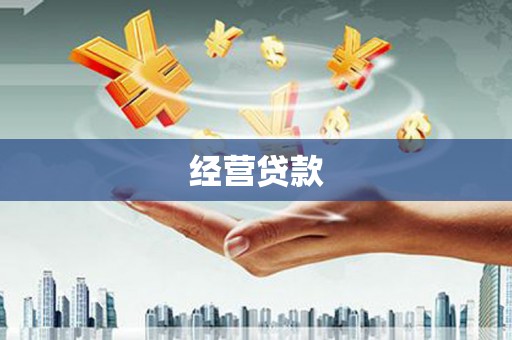 上林经营贷款