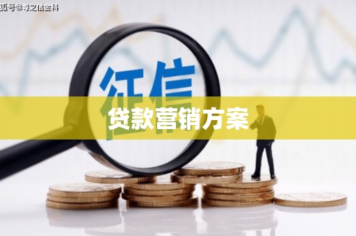 上林贷款营销方案