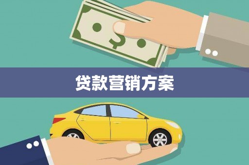 上林贷款营销方案