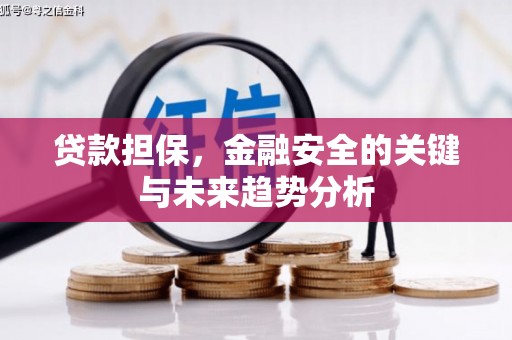上林贷款担保，金融安全的关键与未来趋势分析