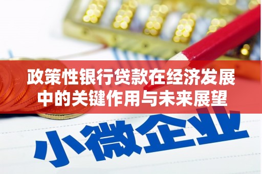 上林政策性银行贷款在经济发展中的关键作用与未来展望