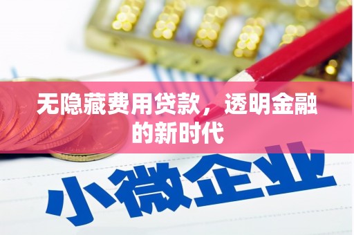 上林无隐藏费用贷款，透明金融的新时代