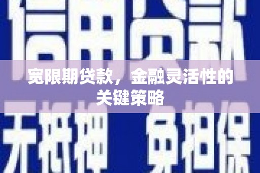 上林宽限期贷款，金融灵活性的关键策略