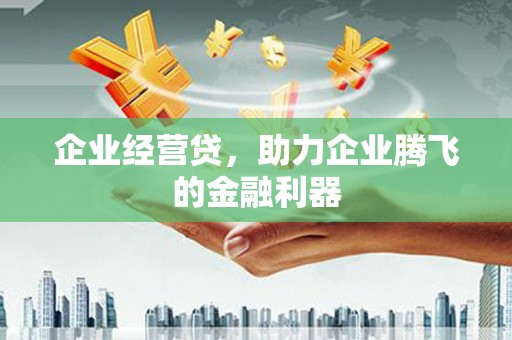 上林企业经营贷，助力企业腾飞的金融利器